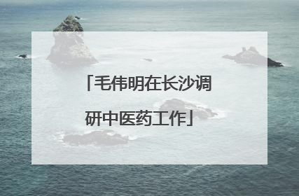 毛伟明在长沙调研中医药工作