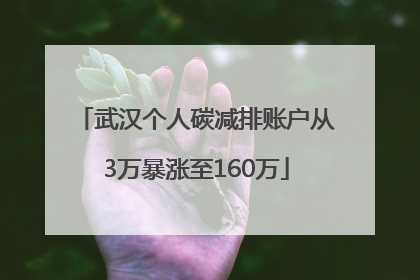 武汉个人碳减排账户从3万暴涨至160万