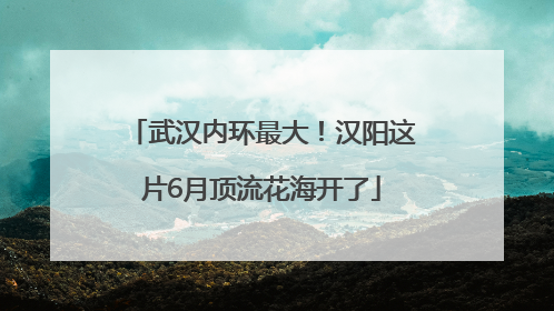 武汉内环最大！汉阳这片6月顶流花海开了