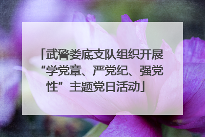 武警娄底支队组织开展“学党章、严党纪、强党性”主题党日活动