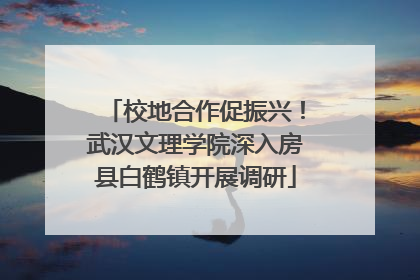 校地合作促振兴！武汉文理学院深入房县白鹤镇开展调研