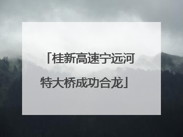 桂新高速宁远河特大桥成功合龙