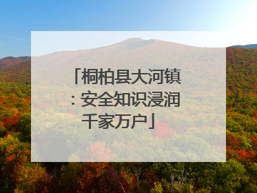 桐柏县大河镇：安全知识浸润千家万户