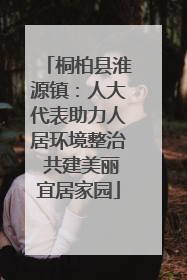 桐柏县淮源镇：人大代表助力人居环境整治 共建美丽宜居家园