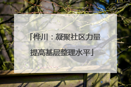 桦川：凝聚社区力量 提高基层整理水平