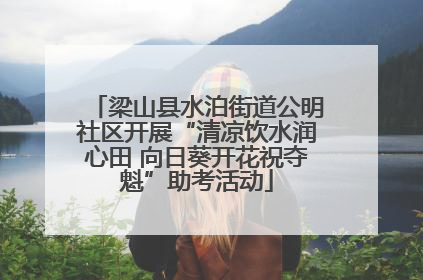 梁山县水泊街道公明社区开展“清凉饮水润心田 向日葵开花祝夺魁”助考活动