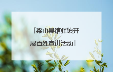 梁山县馆驿镇开展百姓宣讲活动