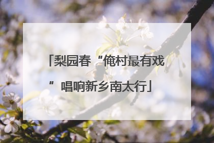 梨园春“俺村最有戏”唱响新乡南太行
