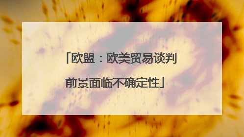 欧盟：欧美贸易谈判前景面临不确定性