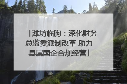 潍坊临朐：深化财务总监委派制改革 助力县属国企合规经营