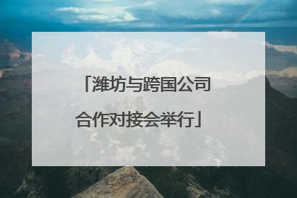 潍坊与跨国公司合作对接会举行