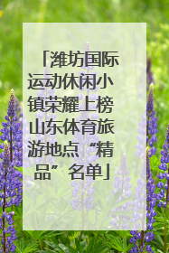 潍坊国际运动休闲小镇荣耀上榜山东体育旅游地点“精品”名单