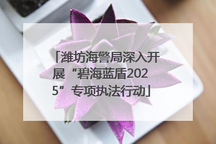 潍坊海警局深入开展“碧海蓝盾2025”专项执法行动