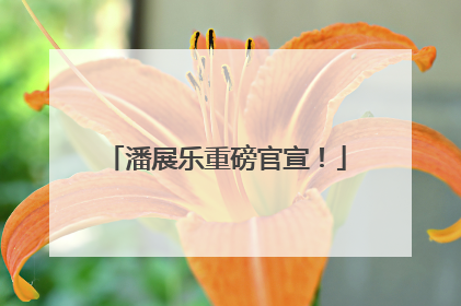 潘展乐重磅官宣！
