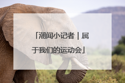 潮闻小记者｜属于我们的运动会