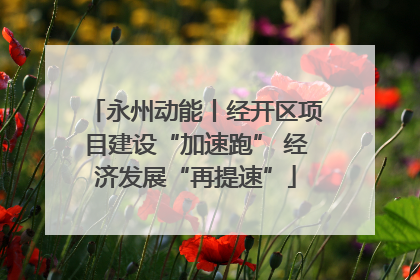 永州动能丨经开区项目建设“加速跑” 经济发展“再提速”