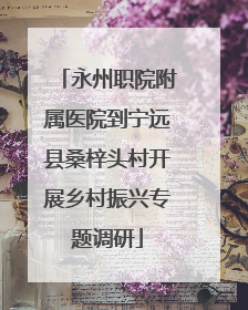 永州职院附属医院到宁远县桑梓头村开展乡村振兴专题调研