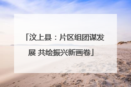 汶上县：片区组团谋发展 共绘振兴新画卷