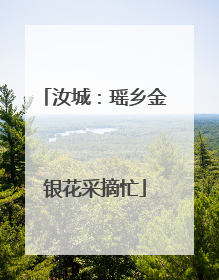 汝城：瑶乡金银花采摘忙