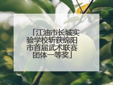 江油市长城实验学校斩获绵阳市首届武术联赛团体一等奖