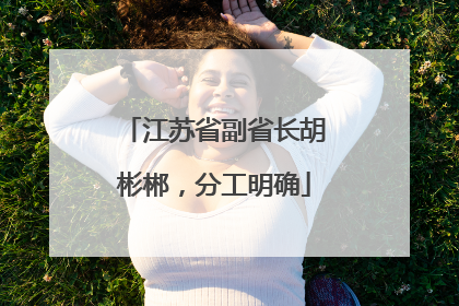 江苏省副省长胡彬郴，分工明确