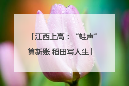 江西上高：“蛙声”算新账 稻田写人生