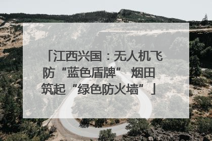 江西兴国：无人机飞防“蓝色盾牌” 烟田筑起“绿色防火墙”