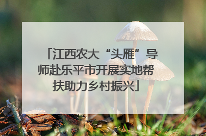 江西农大“头雁”导师赴乐平市开展实地帮扶助力乡村振兴