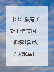 汪汪队有了新工作 美国一机场出动牧羊犬驱鸟