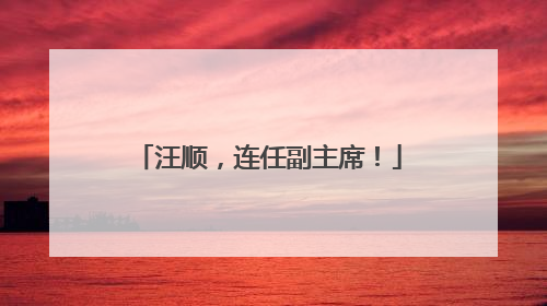 汪顺，连任副主席！