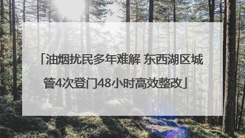 油烟扰民多年难解 东西湖区城管4次登门48小时高效整改