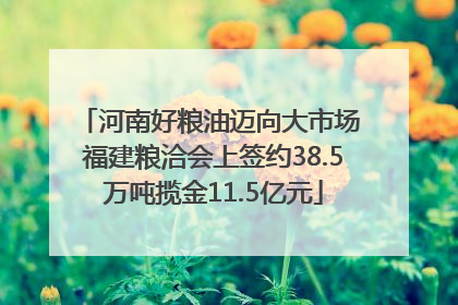 河南好粮油迈向大市场 福建粮洽会上签约38.5万吨揽金11.5亿元