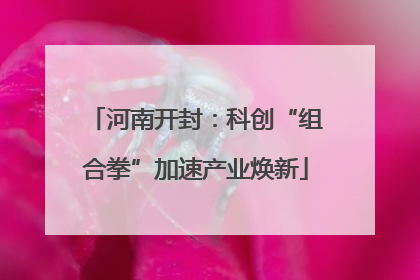 河南开封：科创“组合拳”加速产业焕新