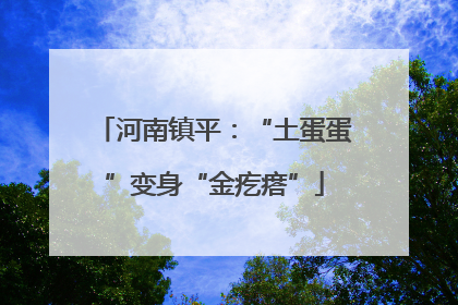 河南镇平：“土蛋蛋”变身“金疙瘩”
