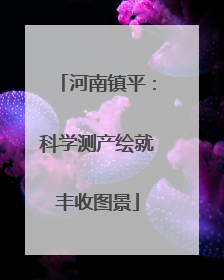 河南镇平：科学测产绘就丰收图景