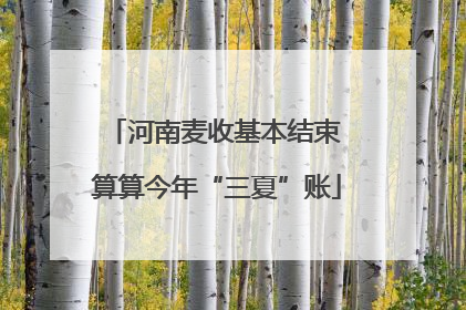 河南麦收基本结束 算算今年“三夏”账