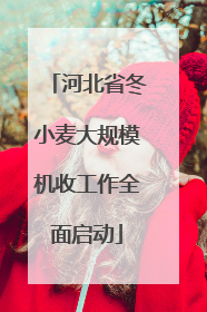 河北省冬小麦大规模机收工作全面启动