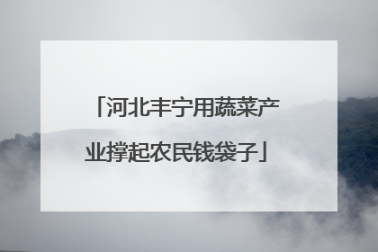 河北丰宁用蔬菜产业撑起农民钱袋子