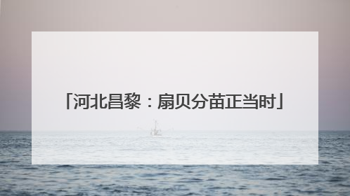 河北昌黎：扇贝分苗正当时