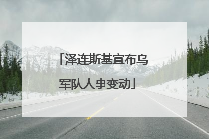泽连斯基宣布乌军队人事变动
