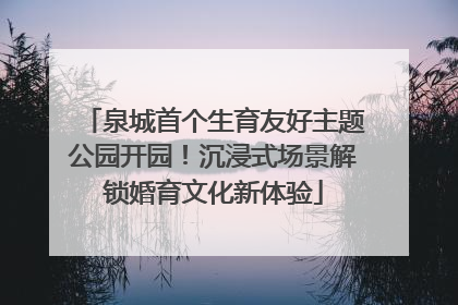 泉城首个生育友好主题公园开园！沉浸式场景解锁婚育文化新体验