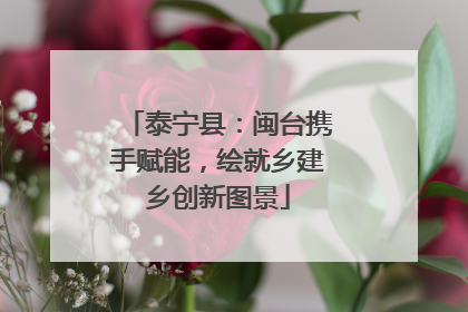 泰宁县：闽台携手赋能，绘就乡建乡创新图景