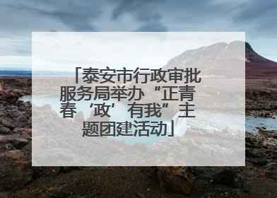 泰安市行政审批服务局举办“正青春‘政’有我”主题团建活动