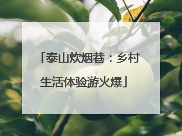 泰山炊烟巷：乡村生活体验游火爆