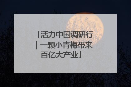 活力中国调研行｜一颗小青梅带来百亿大产业