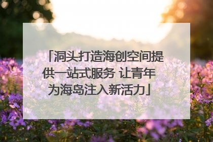 洞头打造海创空间提供一站式服务 让青年为海岛注入新活力