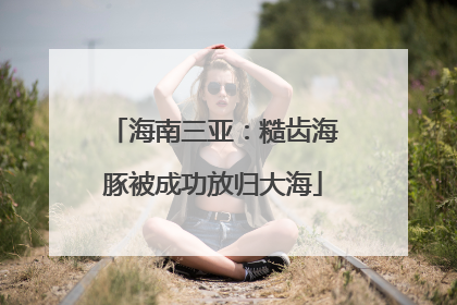 海南三亚：糙齿海豚被成功放归大海