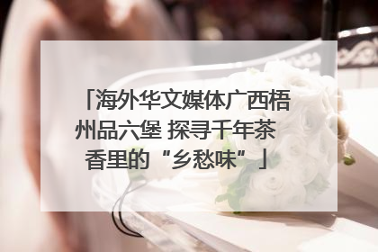 海外华文媒体广西梧州品六堡 探寻千年茶香里的“乡愁味”