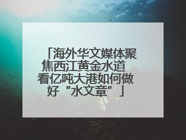 海外华文媒体聚焦西江黄金水道 看亿吨大港如何做好“水文章”