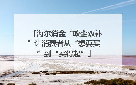 海尔消金“政企双补”让消费者从“想要买”到“买得起”